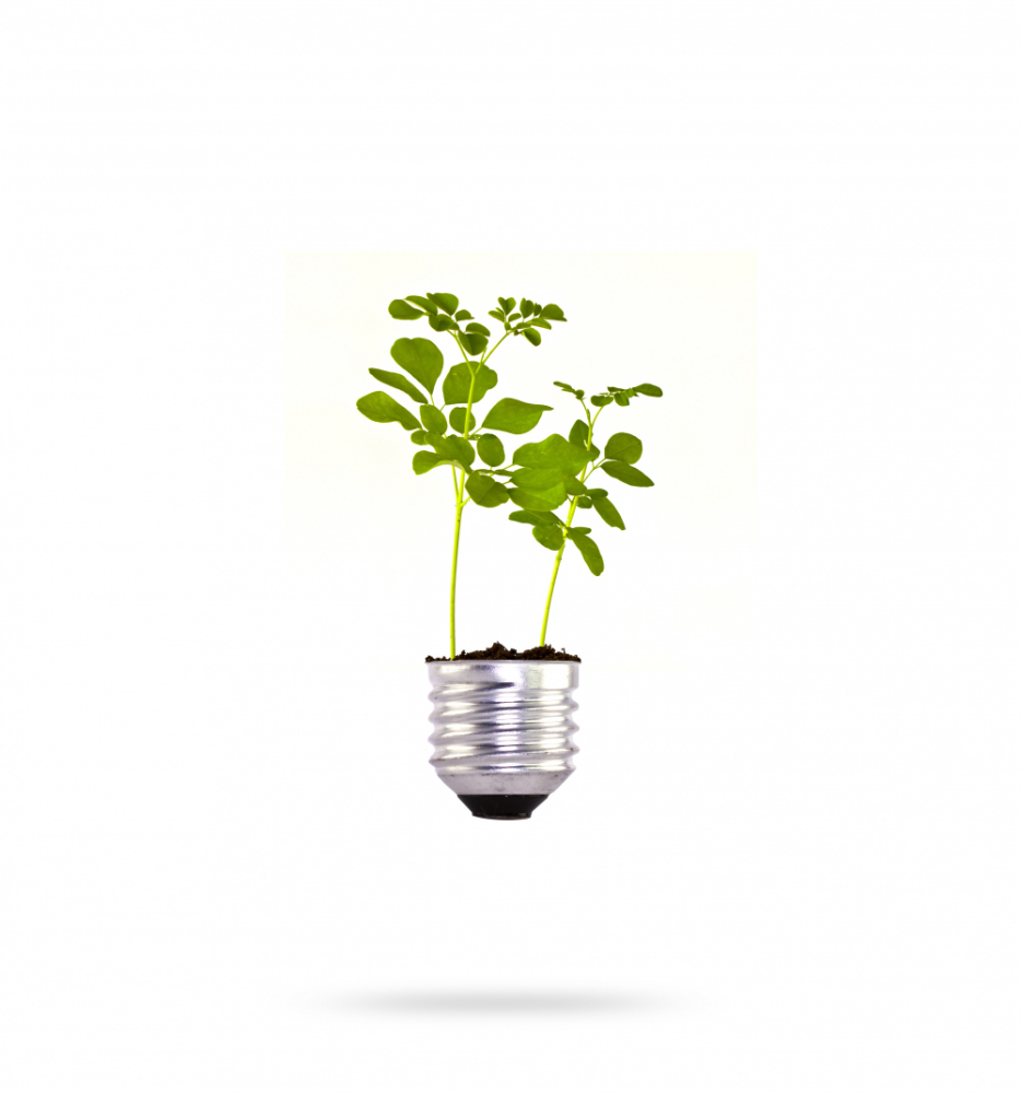 How to Redefine Energy Use in a Modern Home